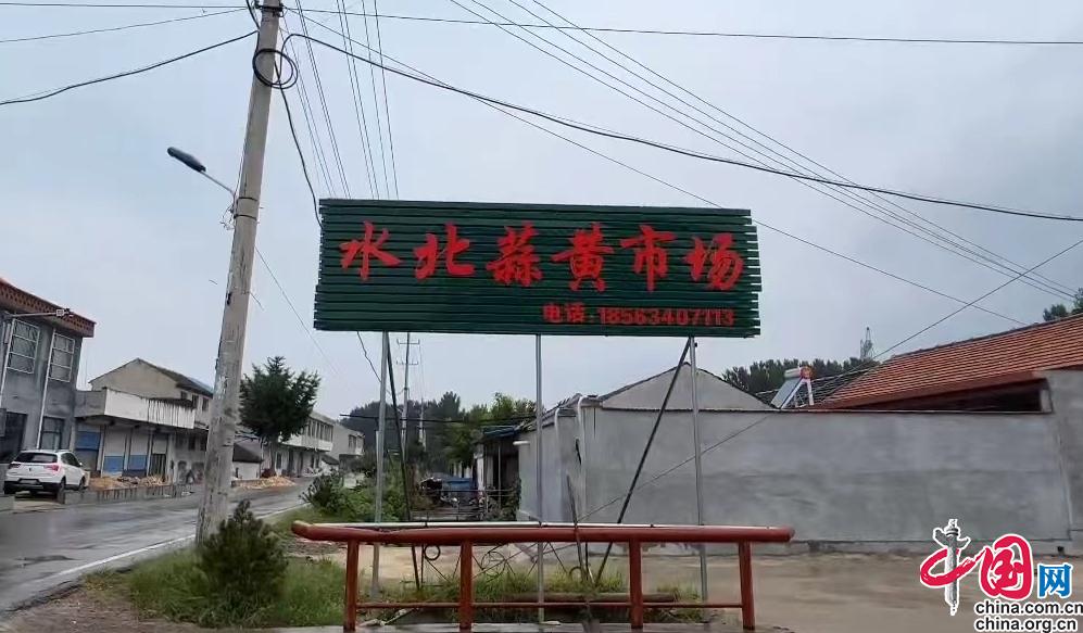 济南莱芜区水北西村：蒜黄飘香之路开启产业振兴之门